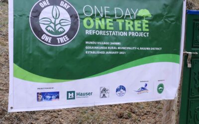 One day one tree