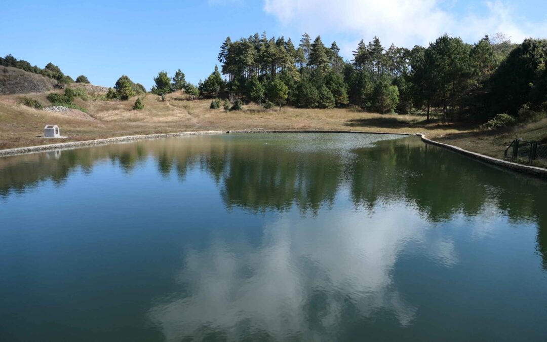 Community Pond